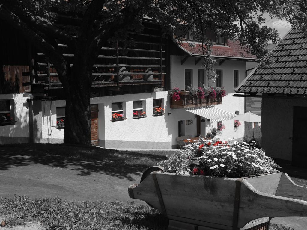 Entschleunigungshof Huberbauer Apartamento Kotschach-Mauthen Exterior foto